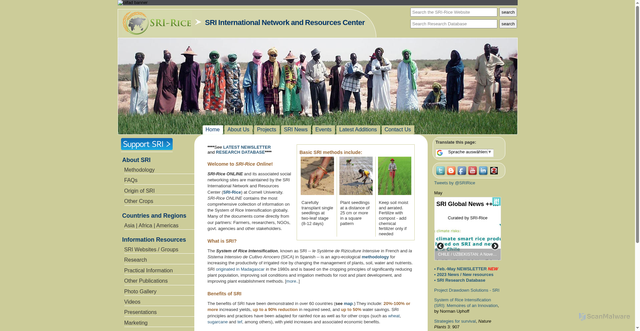 Security scan screenshot of https://sri.ciifad.cornell.edu/