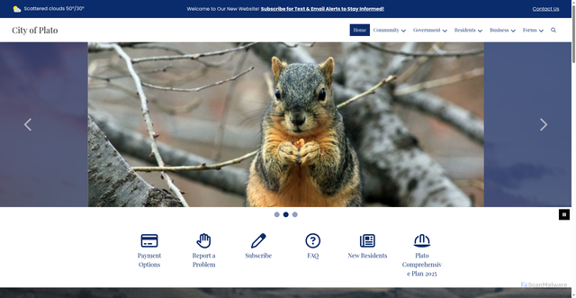 Security scan screenshot of https://platomn.gov/