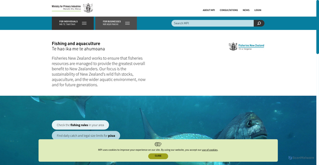 Security scan screenshot of https://www.mpi.govt.nz/fishing-aquaculture