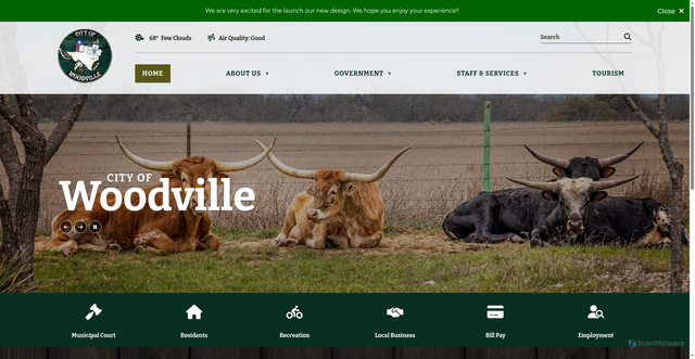 Security scan screenshot of https://www.woodville-tx.gov/