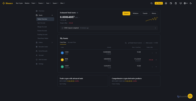 Security scan screenshot of https://da51ca.pages.dev/en/wallet/overview