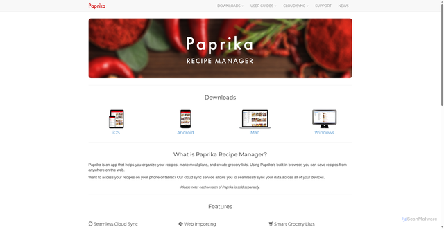 Security scan screenshot of https://paprikaapp.com