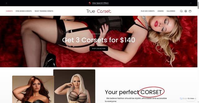 Security scan screenshot of https://truecorset.com