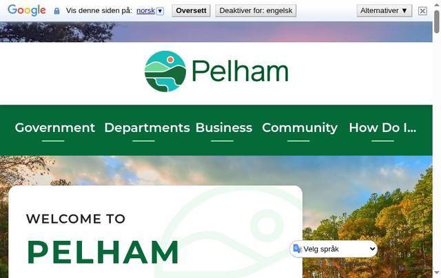 Security scan screenshot of https://pelhamalabama.gov/