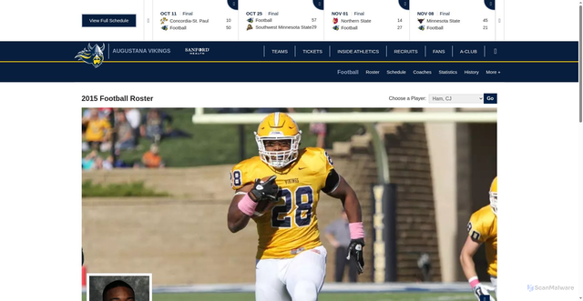Security scan screenshot of https://goaugie.com/sports/football/roster/cj-ham/3789