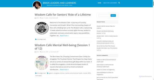 Security scan screenshot of https://brainleadersandlearners.com