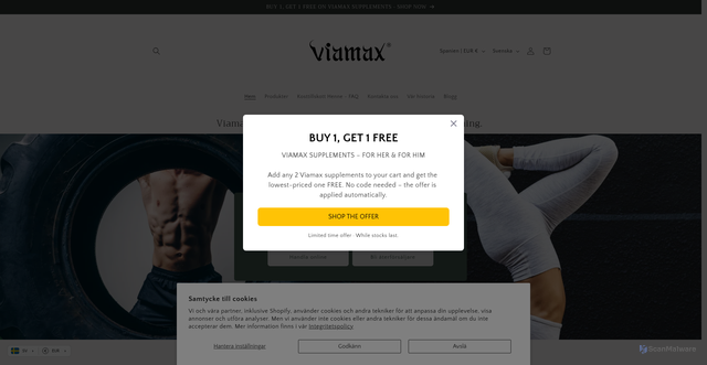 Security scan screenshot of https://viamax.se