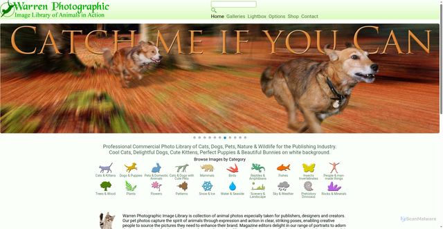 Security scan screenshot of https://warrenphotographic.co.uk