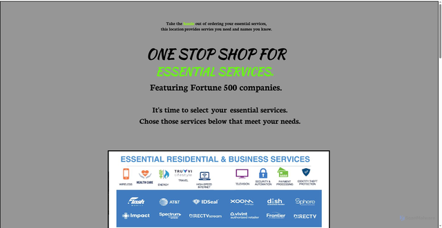 Security scan screenshot of https://homeessentialservices.homesteadcloud.com/