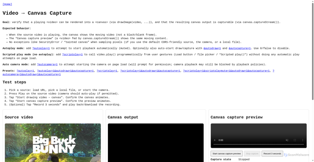 Security scan screenshot of https://privacy-test-pages.site/features/video-to-canvas-capture.html