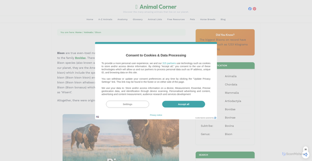 Security scan screenshot of https://animalcorner.org/animals/bison/