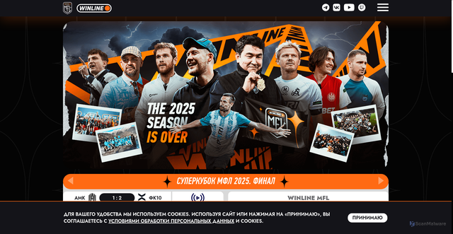 Security scan screenshot of https://mfl.life/