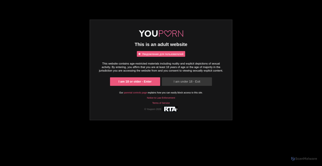 Security scan screenshot of https://rt.youporn.com