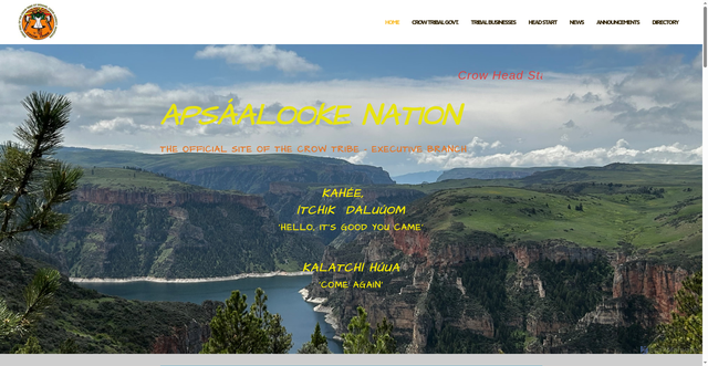 Security scan screenshot of http://www.crow-nsn.gov/