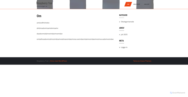 Security scan screenshot of https://hallonstigen.se