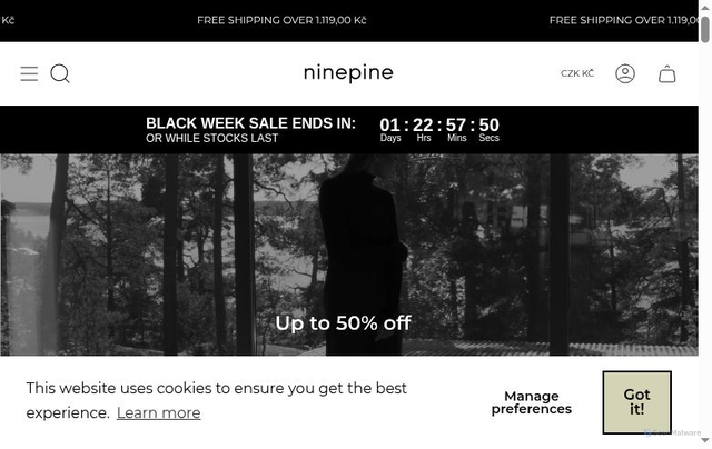 Security scan screenshot of https://www.ninepine.uk/