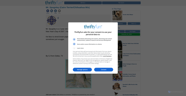 Security scan screenshot of https://www.thriftyfun.com/tf36658001.tip.html