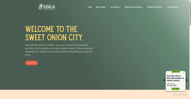 Security scan screenshot of https://vidaliaga.gov/