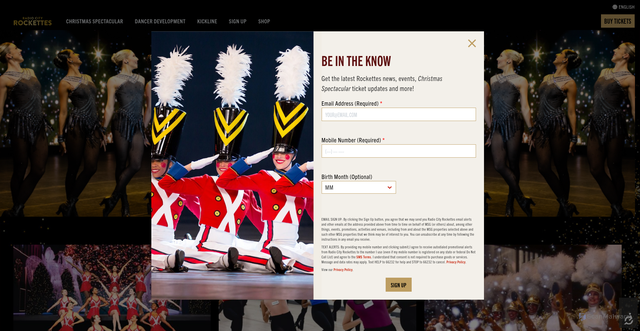 Security scan screenshot of https://rockettes.com