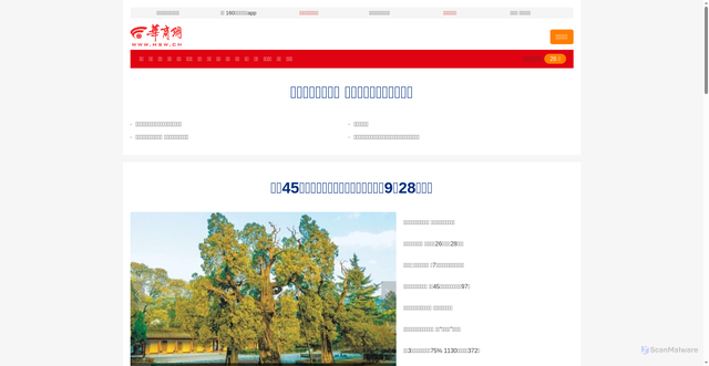 Security scan screenshot of https://hsw.cn