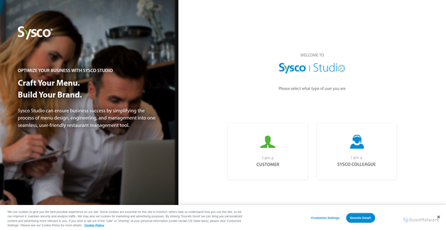 Security scan screenshot of https://syscostudio.com/