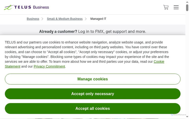 Security scan screenshot of https://fullymanaged.com