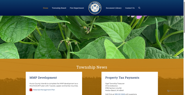 Security scan screenshot of https://www.sigeltownshipmi.gov/