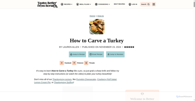 Security scan screenshot of https://tastesbetterfromscratch.com/how-to-carve-a-turkey/