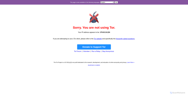 Security scan screenshot of https://check.torproject.org/
