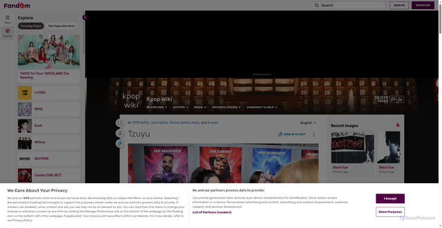 Security scan screenshot of https://kpop.fandom.com/wiki/Tzuyu