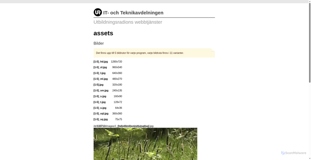 Security scan screenshot of https://assets.ur.se/
