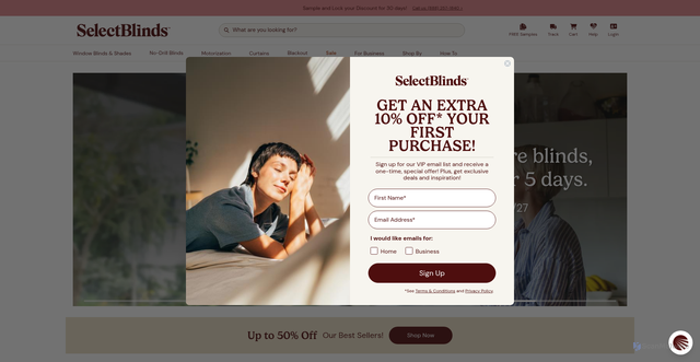 Security scan screenshot of https://www.selectblinds.com