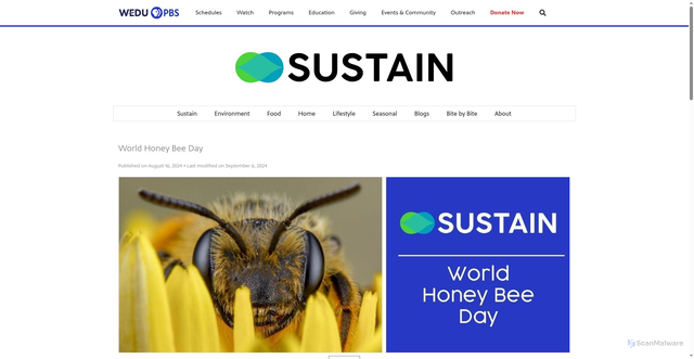 Security scan screenshot of https://www.wedu.org/blogs/sustain/world-honey-bee-day/