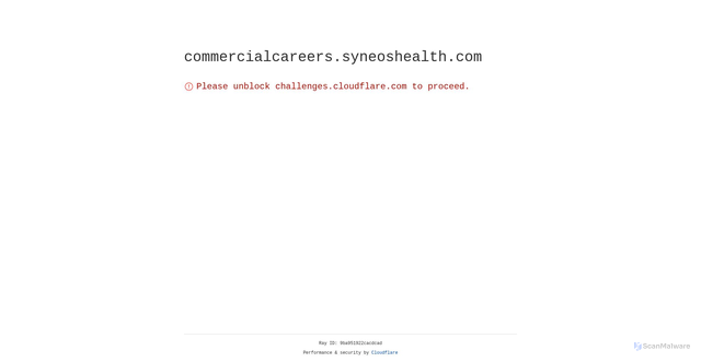 Security scan screenshot of https://commercialcareers.syneoshealth.com