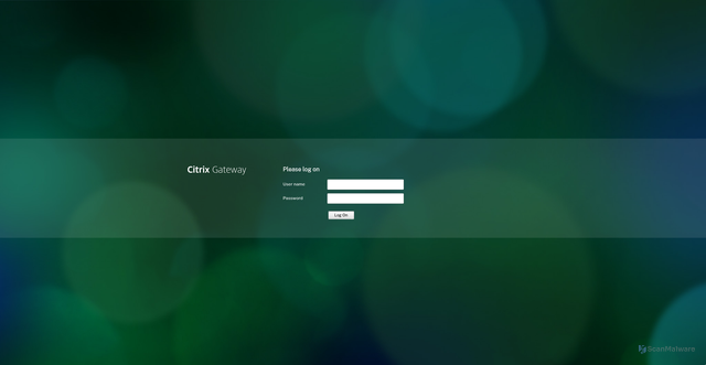 Security scan screenshot of https://citrix.epa.ohio.gov