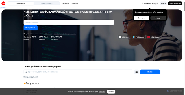 Security scan screenshot of https://spb.hh.ru