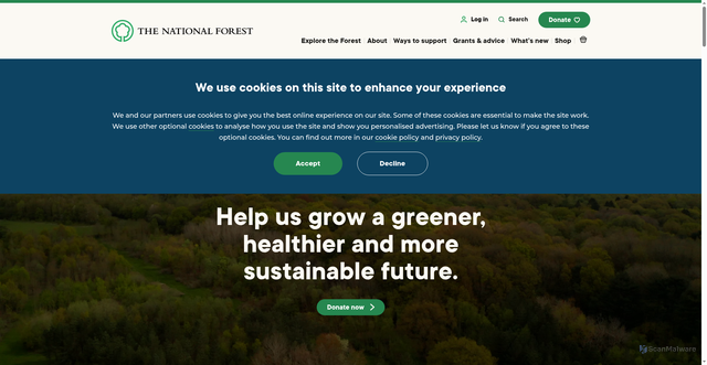 Security scan screenshot of https://www.nationalforest.org/