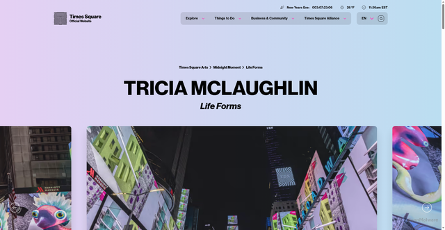 Security scan screenshot of https://www.timessquarenyc.org/tsq-arts-projects/life-forms-by-tricia-mclaughlin