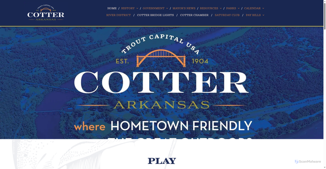 Security scan screenshot of https://www.cotterar.gov/