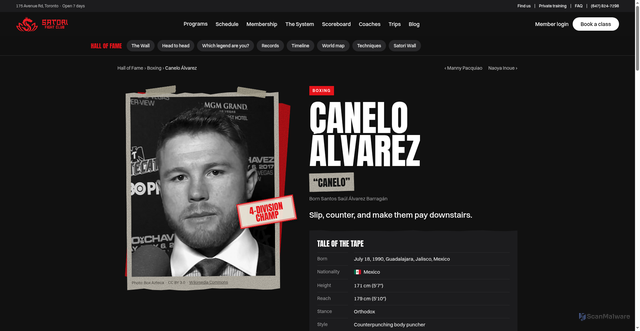 Security scan screenshot of https://satorifightclub.com/hall-of-fame/canelo-alvarez