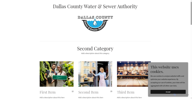 Security scan screenshot of https://dallascowateral.gov/