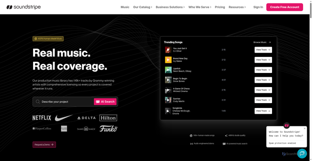 Security scan screenshot of https://soundstripe.com