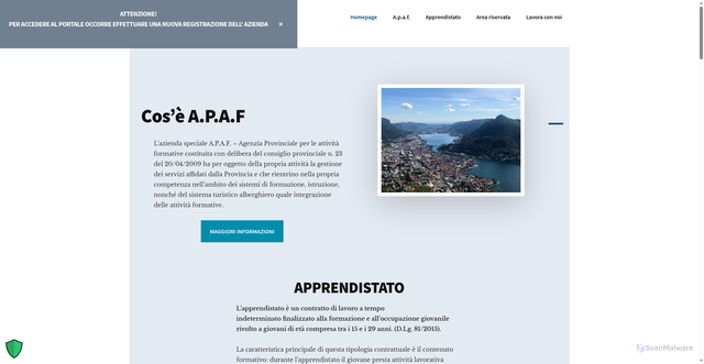 Security scan screenshot of https://www.apaflecco.it/
