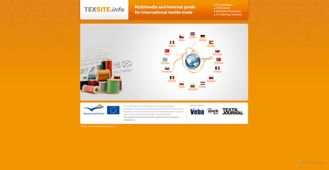 Security scan screenshot of https://texsite.info