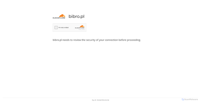 Security scan screenshot of https://bibro.pl