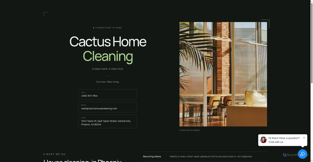 Security scan screenshot of https://cactushousecleaning.site/