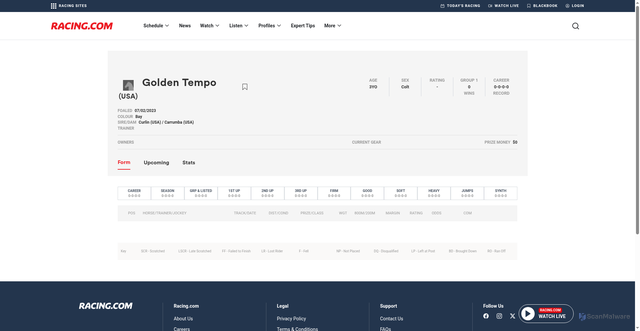 Security scan screenshot of https://www.racing.com/horses/golden-tempo-usa-5392885
