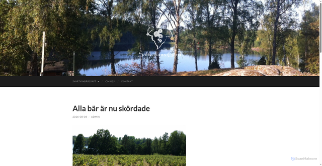 Security scan screenshot of https://saltkallansgard.se