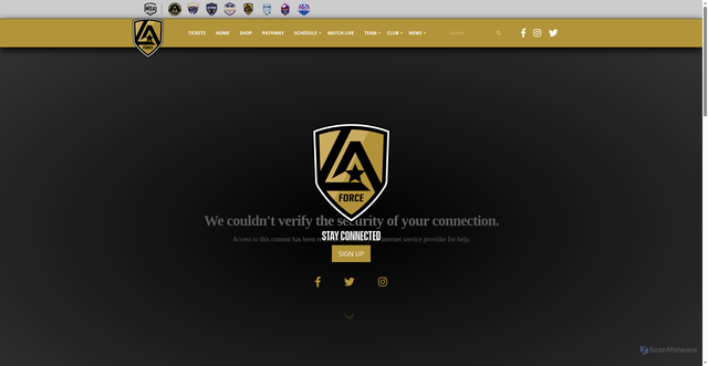 Security scan screenshot of https://www.losangelesforce.com/