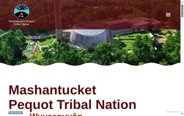 Security scan screenshot of https://www.mptn-nsn.gov/